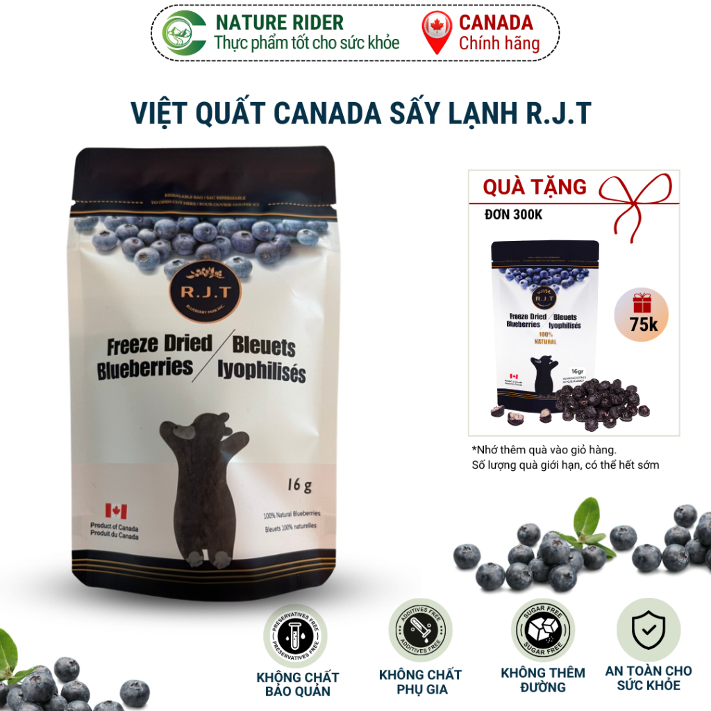 Việt quất sấy lạnh - RJT FREEZE DRIED BLUEBERRIES 16gr