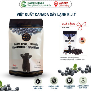 Việt quất sấy lạnh - rjt freeze dried blueberries 16gr