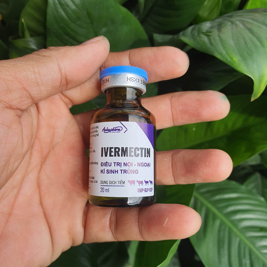Invermectin hàm lượng cao 1% dùng trong thú y