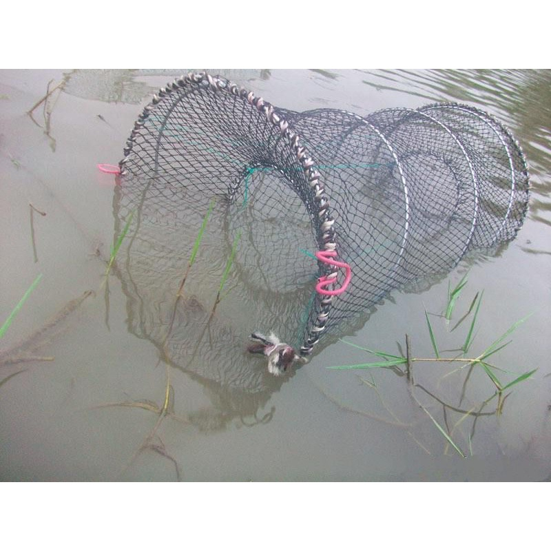 Lồng Bắt Cá Lò Xo Chuyên Dụng Bắt Cua, Cá, Lươn 30x60cm
