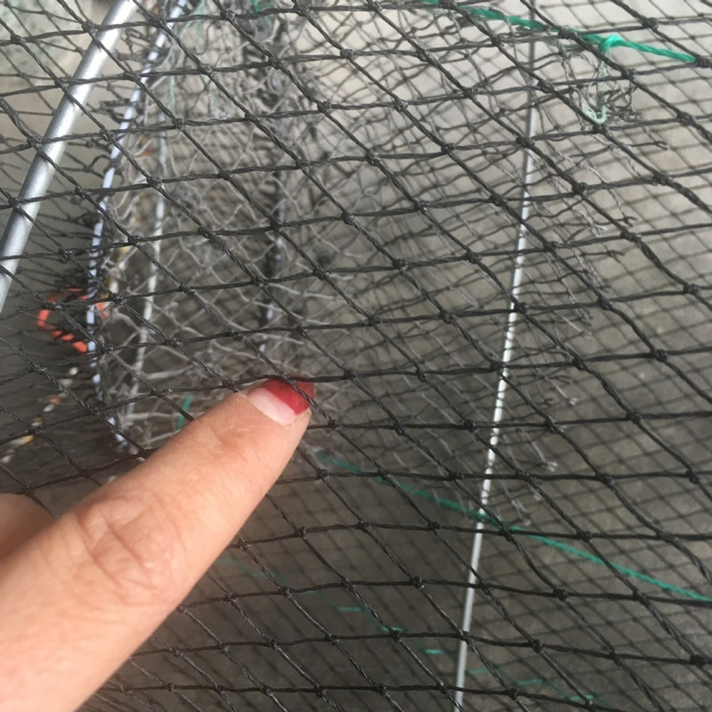 Lồng Bắt Cá Lò Xo Chuyên Dụng Bắt Cua, Cá, Lươn 30x60cm