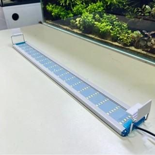 Đèn led kaokui 3 chế độ màu 10000k
