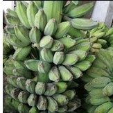 1Kg-Chuối sáp vàng cơm Bến Tre đặc sản