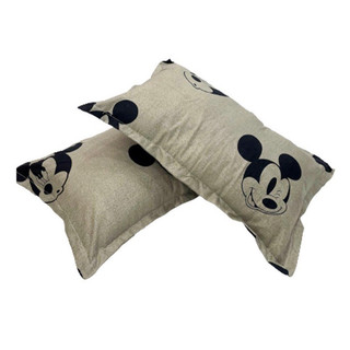 Ruột gối đầu kèm vỏ như ảnh kích cỡ 45x65cm