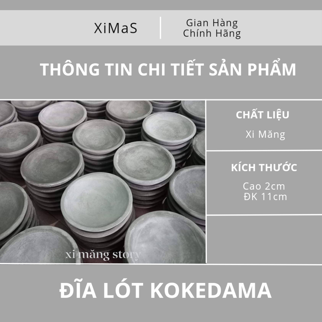 Đĩa lót chậu cây  phong cách Kokedama Xi Măng Story