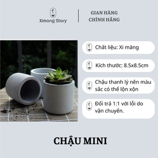 [RẺ VÔ ĐỊCH] Chậu xi măng mini trồng sen đá 8.5 x 8.5 cm