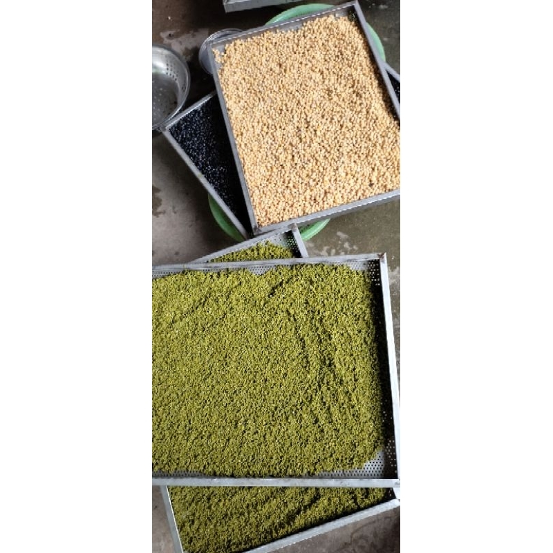 bột ngũ cốc 7 loại hạt
