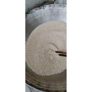 bột ngũ cốc 7 loại hạt