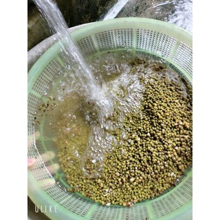 bột ngũ cốc 7 loại hạt
