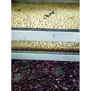 bột ngũ cốc 7 loại hạt