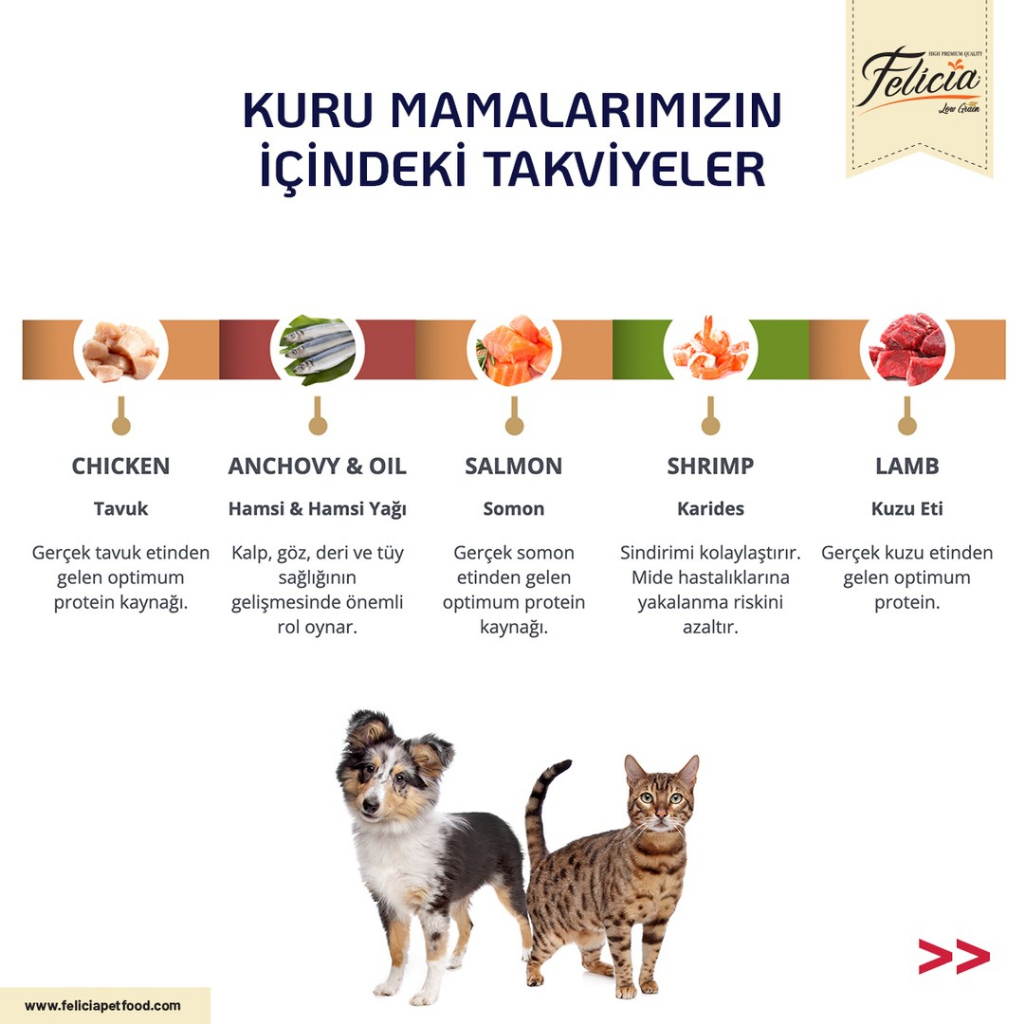 Hạt Felicia cho Mèo con Mèo lớn nhập khẩu Châu Âu Low Grain hỗ trợ tiêu hóa tiết niệu đẹp da lông Kitten Urinary Skin