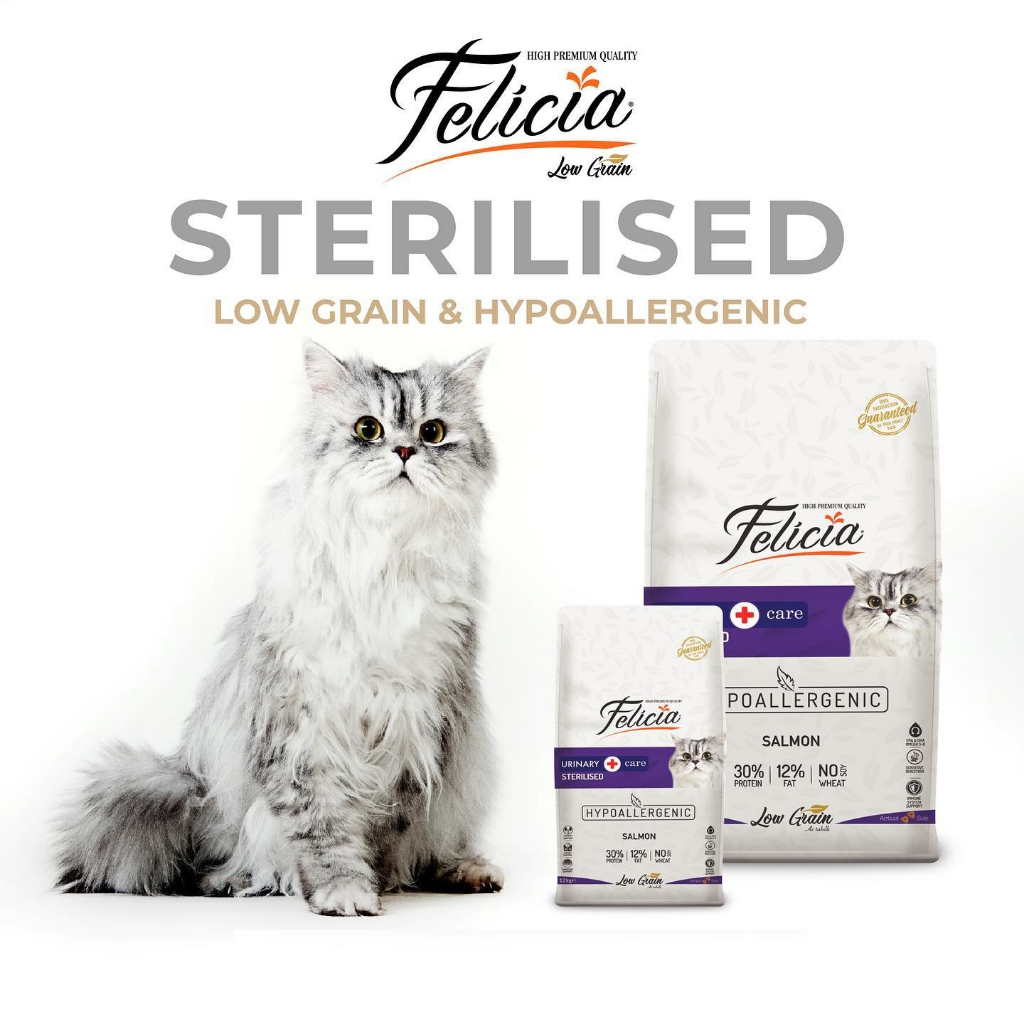 Hạt Felicia cho Mèo con Mèo lớn nhập khẩu Châu Âu Low Grain hỗ trợ tiêu hóa tiết niệu đẹp da lông Kitten Urinary Skin