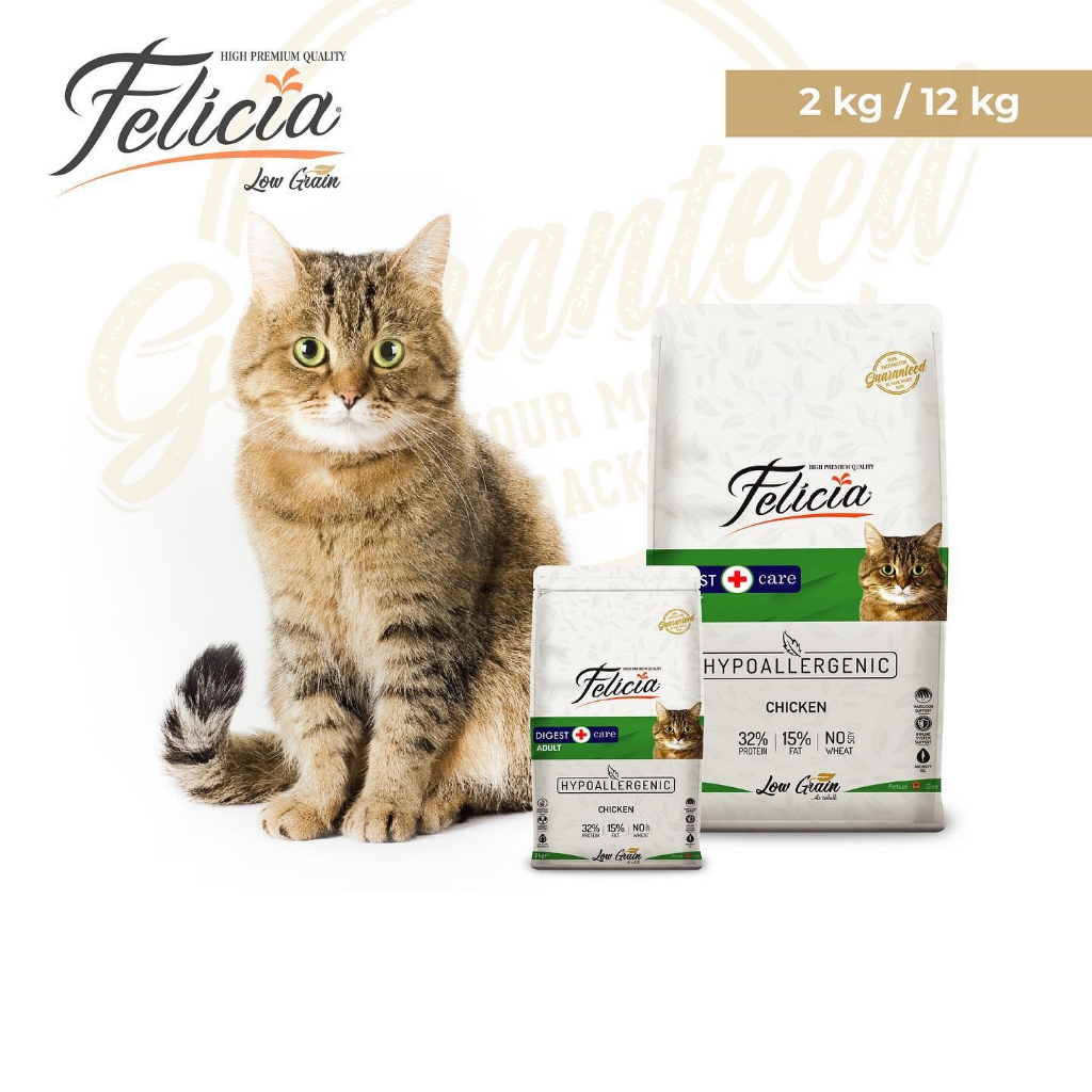Hạt Felicia cho Mèo con Mèo lớn nhập khẩu Châu Âu Low Grain hỗ trợ tiêu hóa tiết niệu đẹp da lông Kitten Urinary Skin