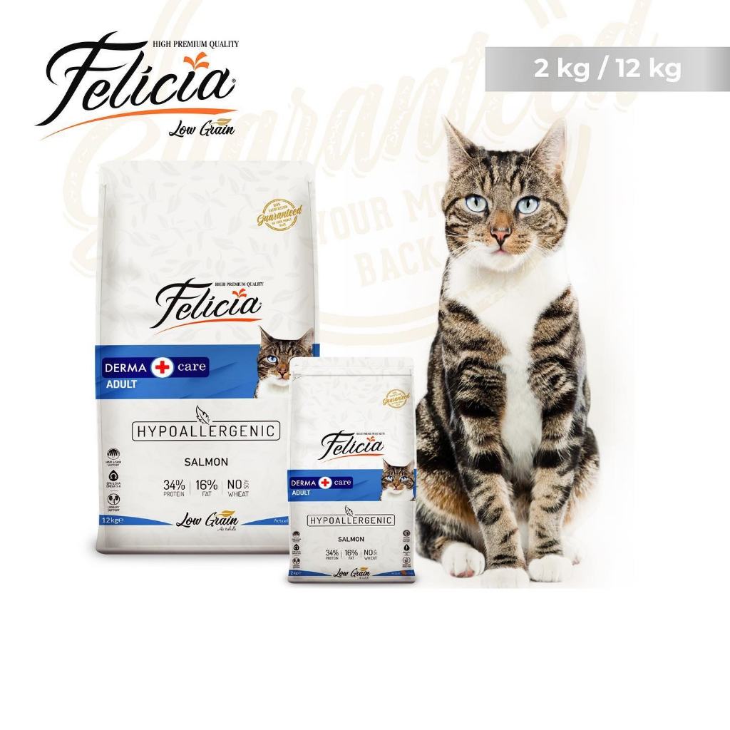 Hạt Felicia cho Mèo con Mèo lớn nhập khẩu Châu Âu Low Grain hỗ trợ tiêu hóa tiết niệu đẹp da lông Kitten Urinary Skin