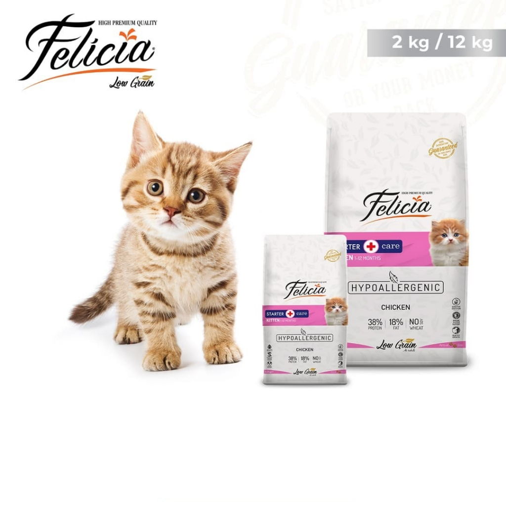 Hạt Felicia cho Mèo con Mèo lớn nhập khẩu Châu Âu Low Grain hỗ trợ tiêu hóa tiết niệu đẹp da lông Kitten Urinary Skin