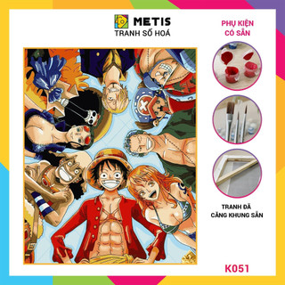 Tranh số hoá Anime One Piece Luffy MetisTự Tô Màu Theo Số Đã Căng Khung 40x50cm K051