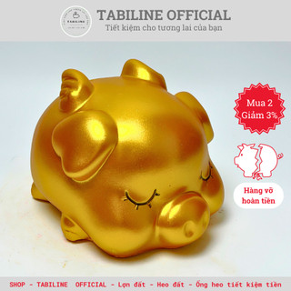 Lợn đất heo đất ống heo tiết kiệm tiền TABILINE Cánh tiên thiền thần vàng đồng 2 LD20