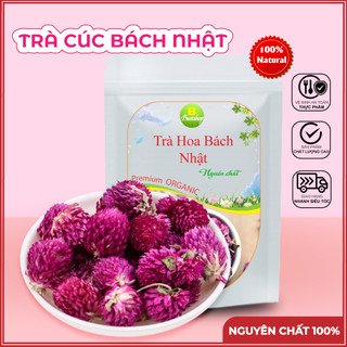 Hoa bách nhật sấy khô 100g [Loại Đẹp], Trà hoa bách nhật