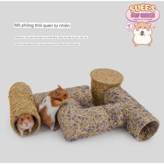 〖ORDER〗𝐍𝐈𝐓𝐄𝐀𝐍𝐆𝐄𝐋 Ống Chui Đường Hầm Đa Dạng Cho Hamster