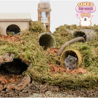 〖ORDER〗𝐍𝐈𝐓𝐄𝐀𝐍𝐆𝐄𝐋 Ống Chui Đường Hầm Đa Dạng Cho Hamster