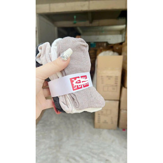 Set 5 đôi tất uniqlo