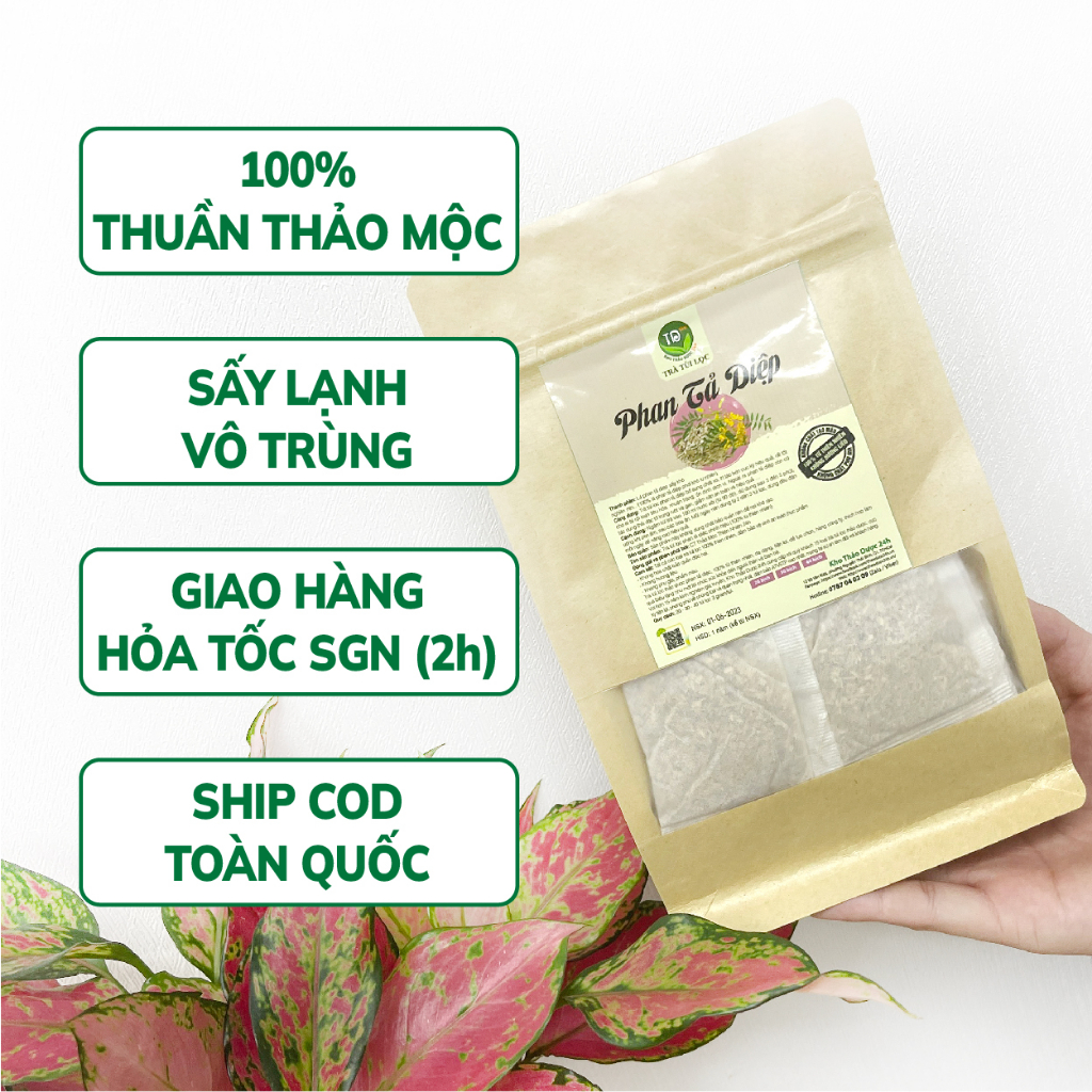 Trà phan tả diệp túi lọc, bổ sung chất xơ, ngừa táo bón, trợ tiêu hóa, nhuận tràng, thải độc tố, giảm cân, tăng dịch vị