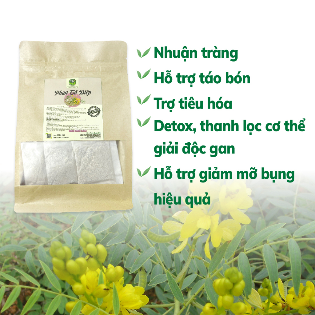 Trà phan tả diệp túi lọc, bổ sung chất xơ, ngừa táo bón, trợ tiêu hóa, nhuận tràng, thải độc tố, giảm cân, tăng dịch vị