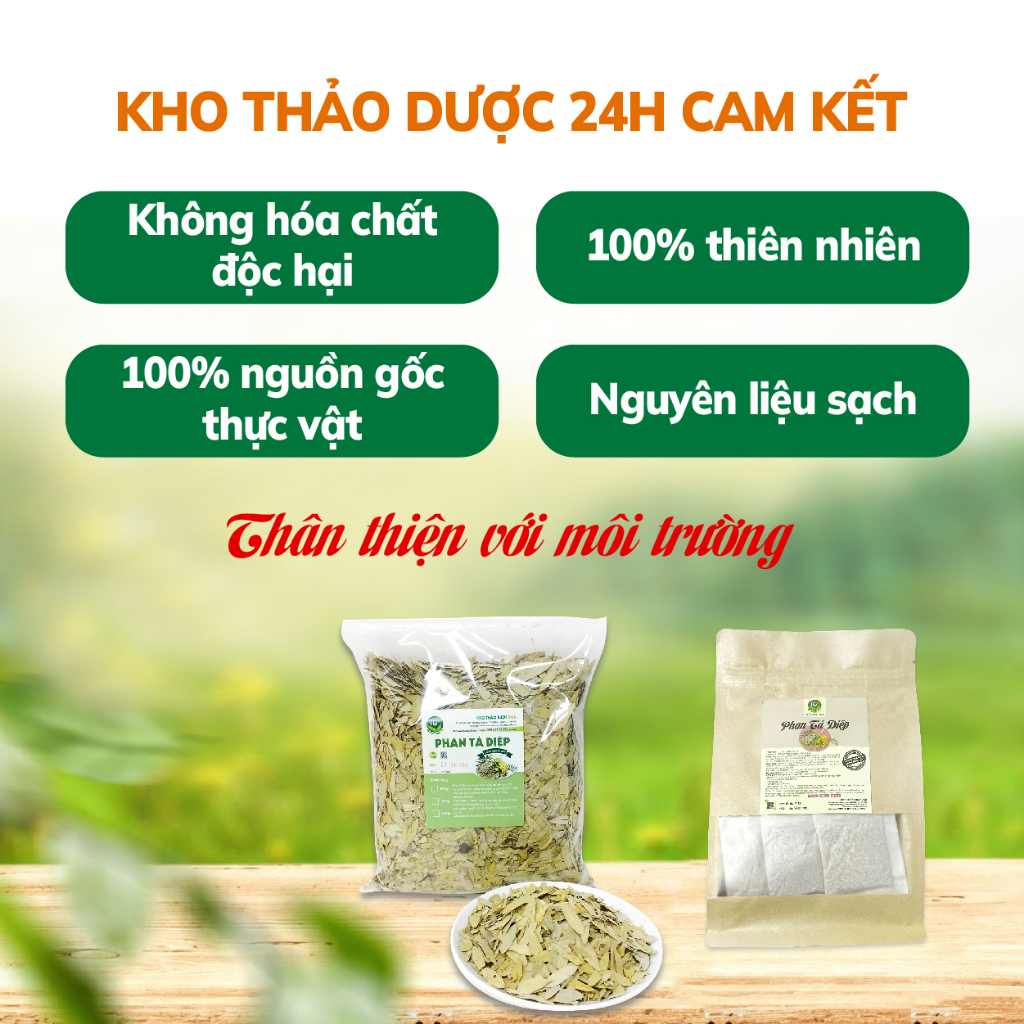 Trà phan tả diệp túi lọc, bổ sung chất xơ, ngừa táo bón, trợ tiêu hóa, nhuận tràng, thải độc tố, giảm cân, tăng dịch vị