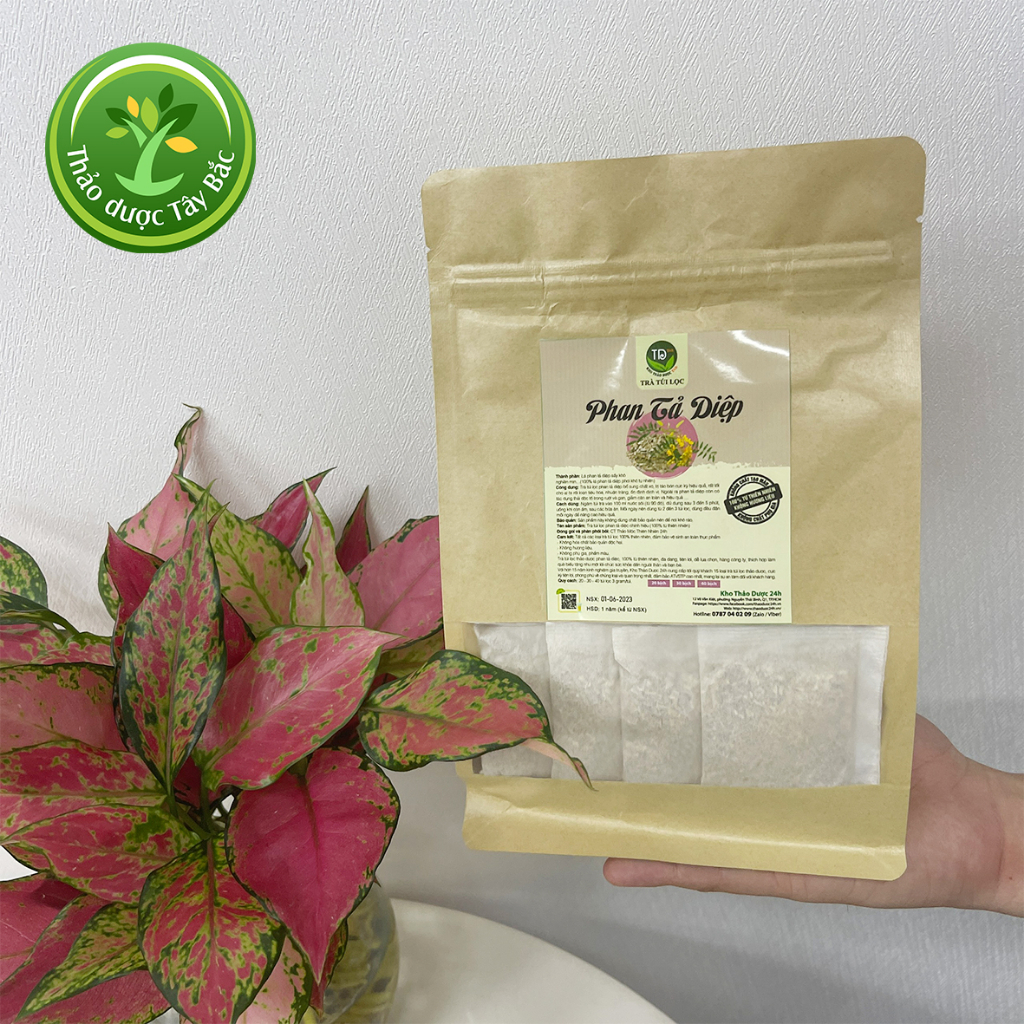 Trà phan tả diệp túi lọc, bổ sung chất xơ, ngừa táo bón, trợ tiêu hóa, nhuận tràng, thải độc tố, giảm cân, tăng dịch vị