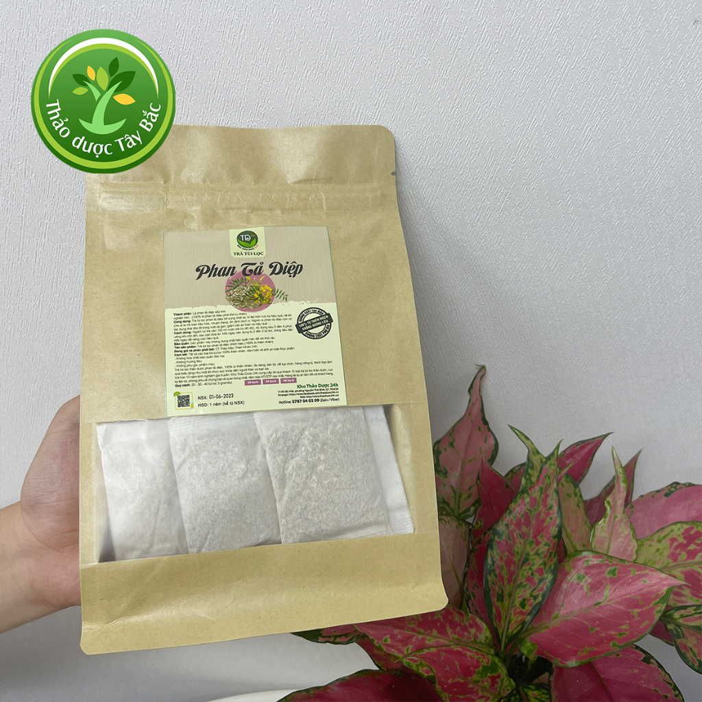 Trà phan tả diệp túi lọc, bổ sung chất xơ, ngừa táo bón, trợ tiêu hóa, nhuận tràng, thải độc tố, giảm cân, tăng dịch vị