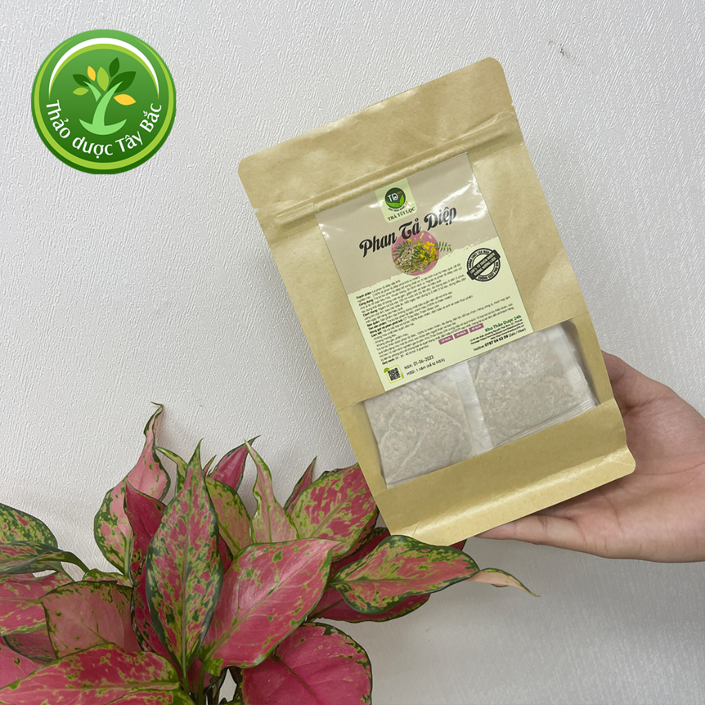 Trà phan tả diệp túi lọc, bổ sung chất xơ, ngừa táo bón, trợ tiêu hóa, nhuận tràng, thải độc tố, giảm cân, tăng dịch vị