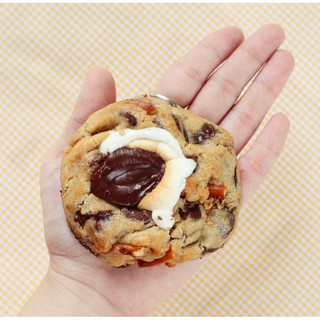 Bánh Cookie,Bánh Quy socola