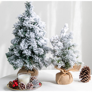 Cây thông Phủ Tuyết C4 30CM, 40CM Cây Thông Trang Trí Noel