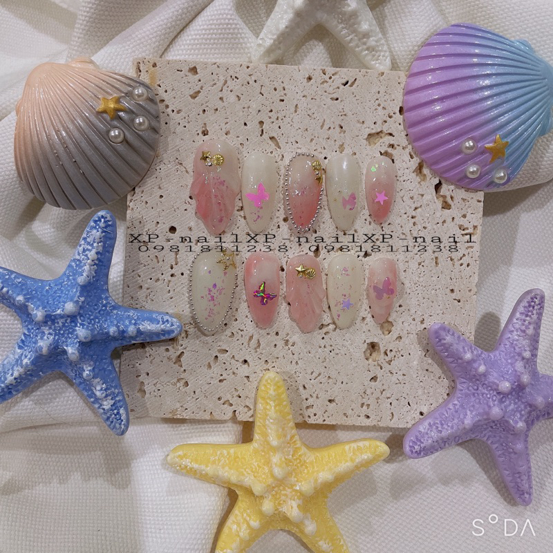 NAILBOX BIỂN VÕ SÒ LẤP LÁNH GIÁ RẺ NHƯ CHO