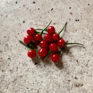 10 Hạt Giống Ớt Chiltepin Siêu Cay