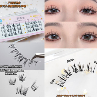 (TẶNG KEO )Lông Mi Giả EYELASH Mi Giả Loại Chữ A Màu Đen Tự Nhiên