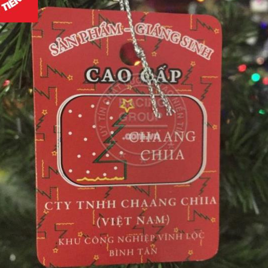 Cây Thông Cước Nở Hoa Gắn Trái Đỏ Và Trái Thông Cây Thông Noel Cao Cấp Mã A6N Trang Trí Giáng Sinh Công Ty, Khách Sạn
