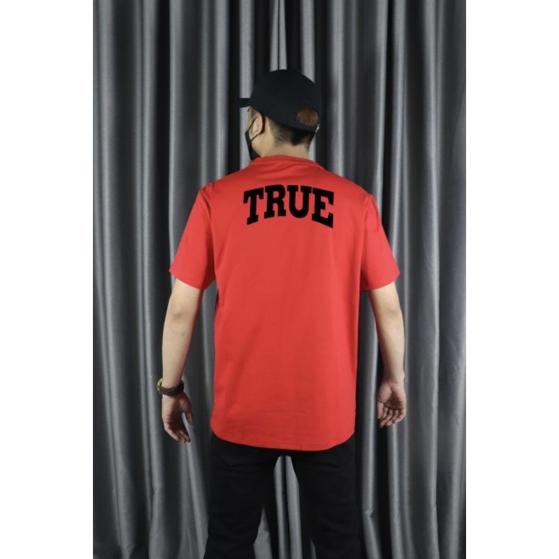 Áo thun nam cổ tròn Havis vải cotton cao cấp cực sang AXK285