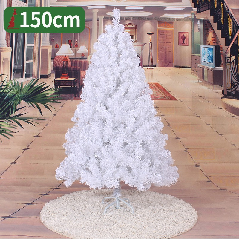 Cây thông Màu Trắng Dày Rậm C16 1.5 mét Trang Trí Noel Giáng Sinh