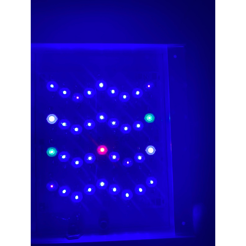 Đèn bể cá có wifi