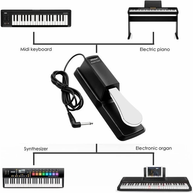 Pedal mỏ vịt dùng cho đàn organ và piano điện -Pedal Đa Năng Cho Các Loại Piano Và Organ Yamaha, Casio, Roland, Korg..