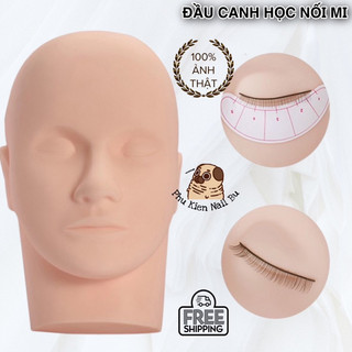 Đầu canh học nối mi