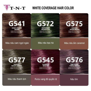 Nhuộm Phủ Bạc Túi TNT Có 6 Màu Lựa Chọn ( 500g/ 1 túi )