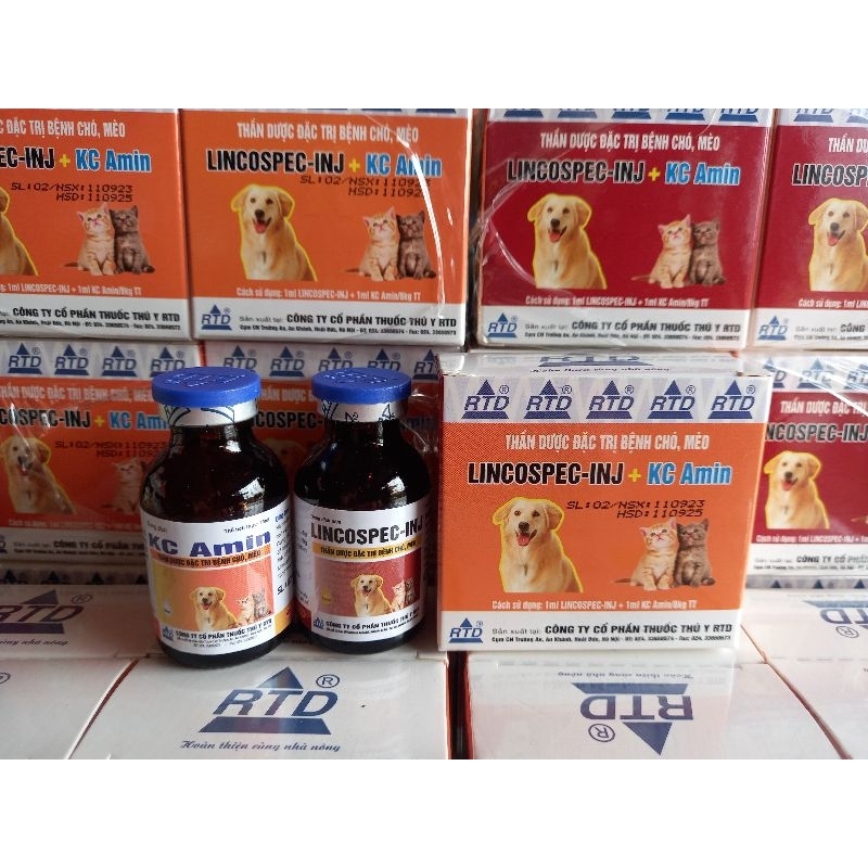 Cặp ĐT Bệnh chó mèo Lincospec+ KC amin