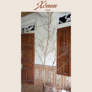 Cành cây khô nhiều nhánh decor size lớn, nhánh cây khô treo đèn trung thu, trang trí noel cao 1,5-1,8m