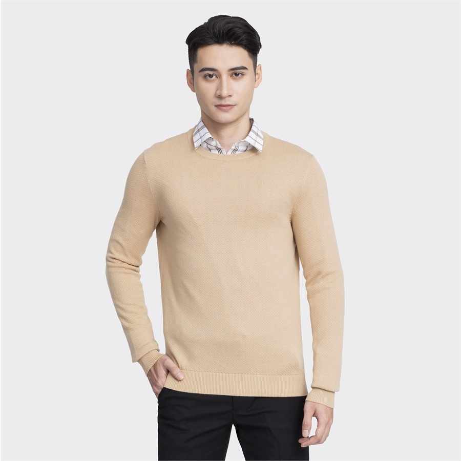 Áo len Aristino thiết kế cổ tròn, 2 màu cơ bản trẻ trung, chất không bai dão, hạn chế xù lông - AWO002W3