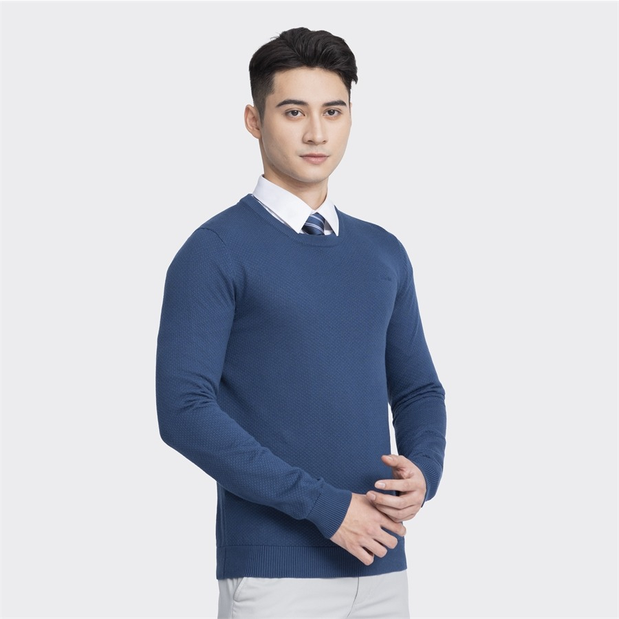 Áo len Aristino thiết kế cổ tròn, 2 màu cơ bản trẻ trung, chất không bai dão, hạn chế xù lông - AWO002W3