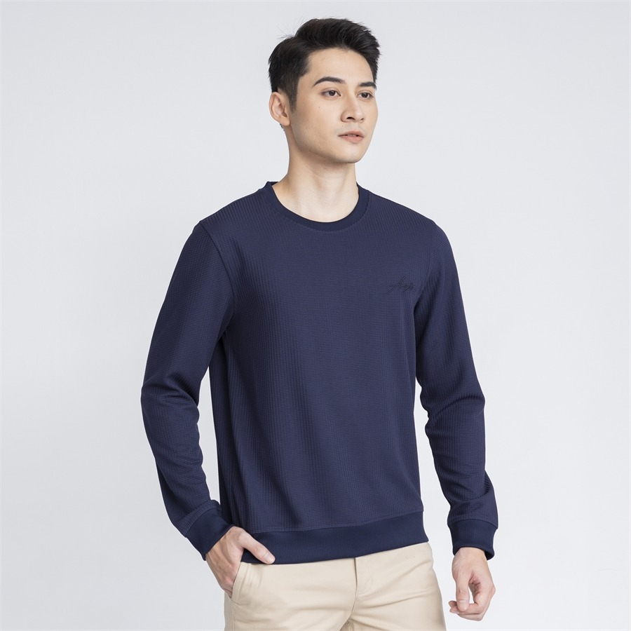 Áo thu đông nam ARISTINO chất liệu cao cấp, tay bo gấu năng động - ASW001W3