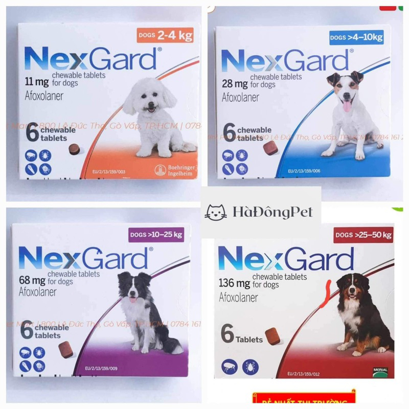 NexGard và NexGard Spectra (1 viên)- diệt Ve Rận Bọ Chét Ghẻ Demodex trên Chó