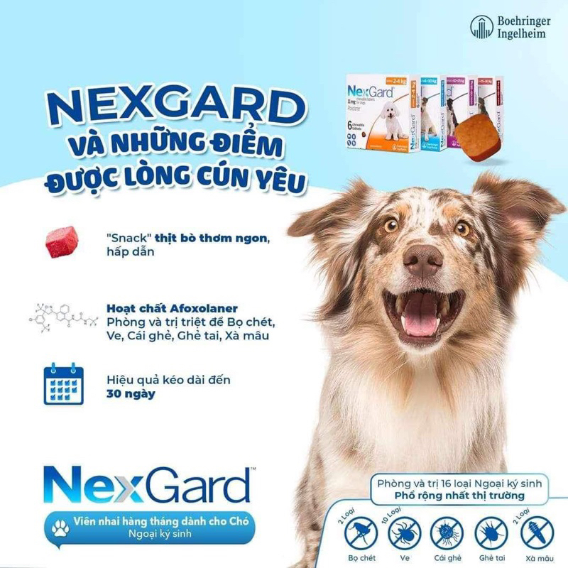 NexGard và NexGard Spectra - diệt Ve Rận Bọ Chét Ghẻ Demodex trên Chó